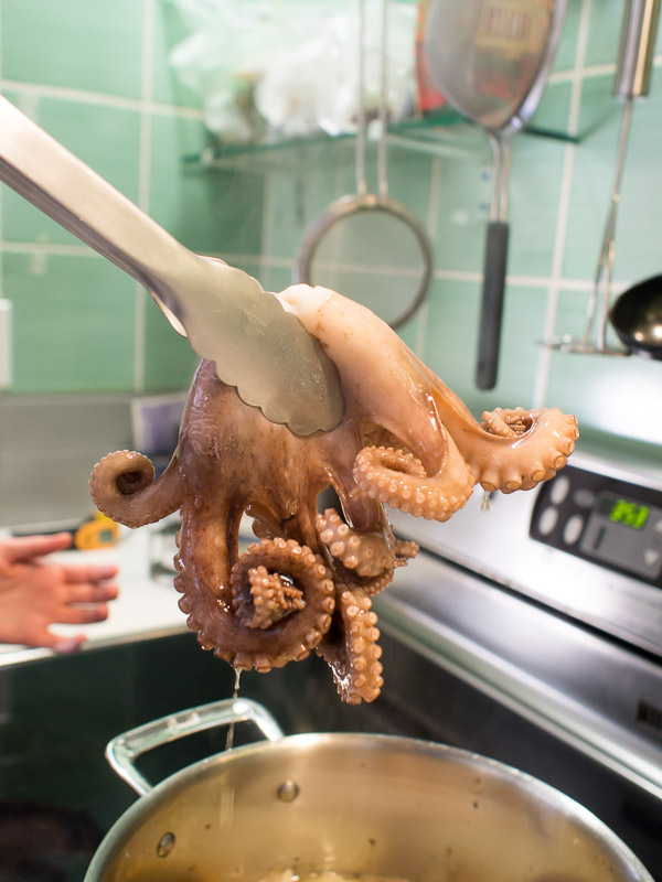 cutting heads from octopi