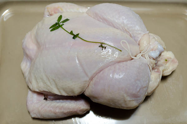 brined and trussed chicken, raw