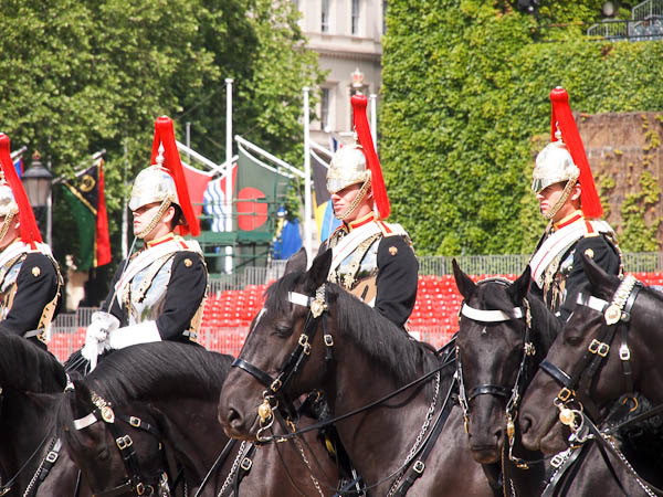 Horse Guard