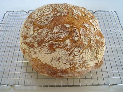 whole loaf plain no-knead bread